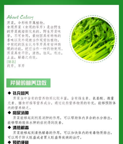 家里阳光不足怎么养花，选对植物种类，掌握养护技巧