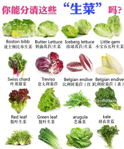 家里阳光不足怎么养花，选对植物种类，掌握养护技巧