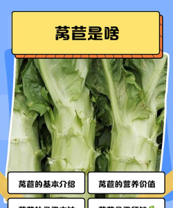 家里阳光不足怎么养花，选对植物种类，掌握养护技巧