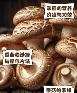 家里阳光不足怎么养花，选对植物种类，掌握养护技巧