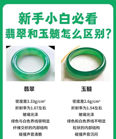 家里阳光不足怎么养花，选对植物种类，掌握养护技巧