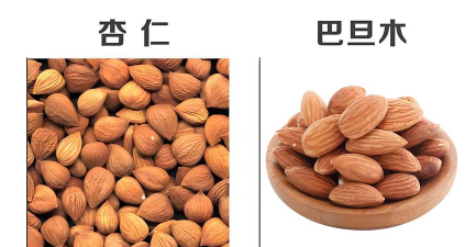 家里阳光不足怎么养花，选对植物种类，掌握养护技巧