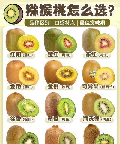 家里阳光不足怎么养花，选对植物种类，掌握养护技巧