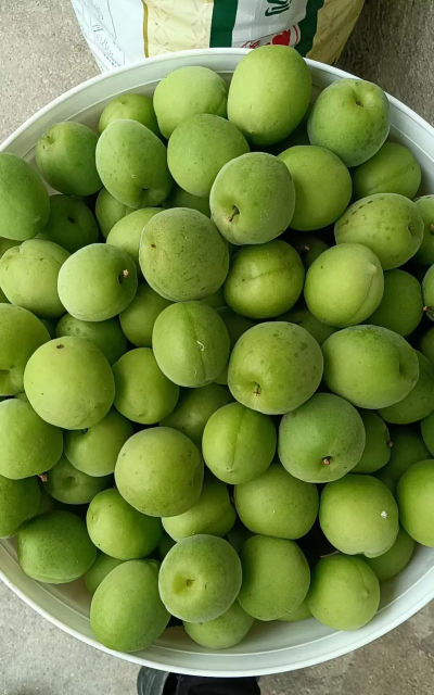 家里阳光不足怎么养花，选对植物种类，掌握养护技巧