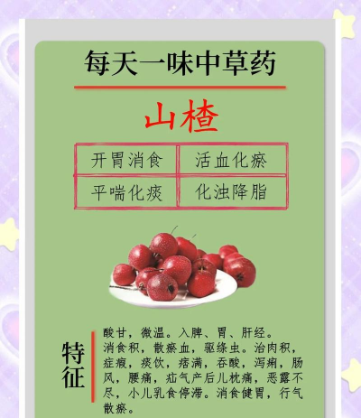 家里阳光不足怎么养花，选对植物种类，掌握养护技巧