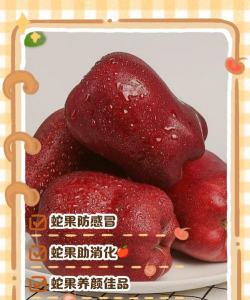 家里阳光不足怎么养花，选对植物种类，掌握养护技巧