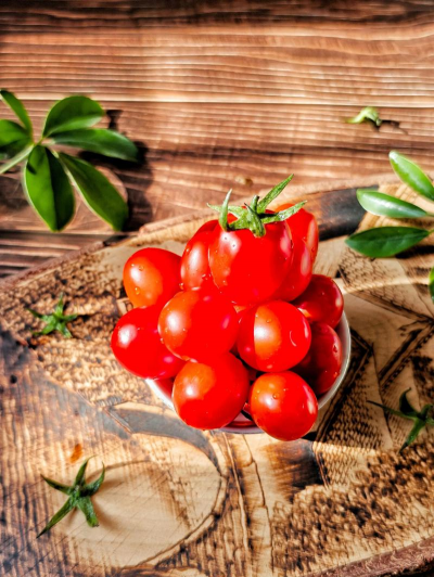 家里阳光不足怎么养花，选对植物种类，掌握养护技巧