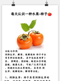 家里阳光不足怎么养花，选对植物种类，掌握养护技巧