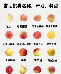 家里阳光不足怎么养花，选对植物种类，掌握养护技巧