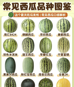 家里阳光不足怎么养花，选对植物种类，掌握养护技巧