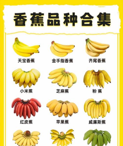 家里阳光不足怎么养花，选对植物种类，掌握养护技巧