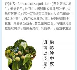 家里阳光不足怎么养花，选对植物种类，掌握养护技巧