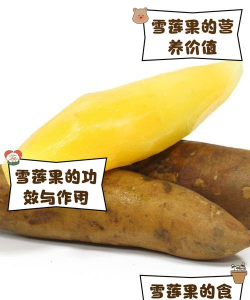 家里阳光不足怎么养花，选对植物种类，掌握养护技巧