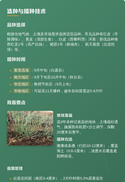 家里阳光不足怎么养花，选对植物种类，掌握养护技巧