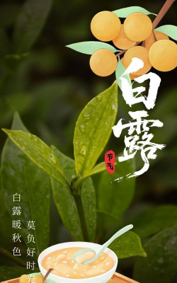 家里阳光不足怎么养花，选对植物种类，掌握养护技巧
