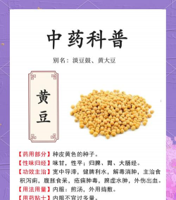 家里阳光不足怎么养花，选对植物种类，掌握养护技巧