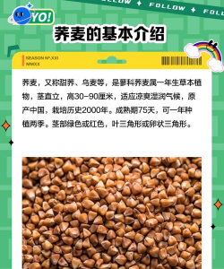 家里阳光不足怎么养花，选对植物种类，掌握养护技巧