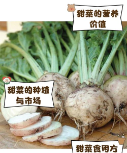 家里阳光不足怎么养花，选对植物种类，掌握养护技巧