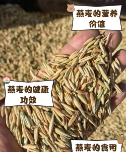 家里阳光不足怎么养花，选对植物种类，掌握养护技巧