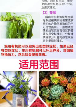 家里阳光不足怎么养花，选对植物种类，掌握养护技巧