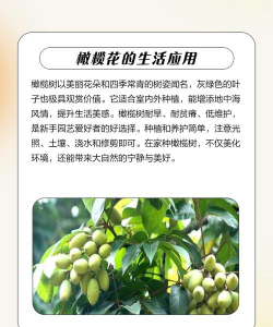 家里阳光不足怎么养花，选对植物种类，掌握养护技巧
