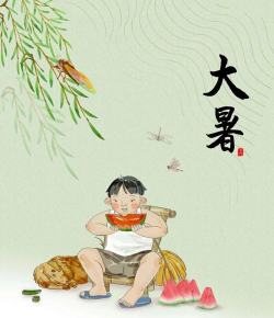 家里阳光不足怎么养花，选对植物种类，掌握养护技巧