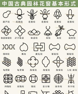 家里阳光不足怎么养花，选对植物种类，掌握养护技巧