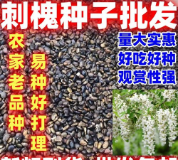 家里阳光不足怎么养花，选对植物种类，掌握养护技巧