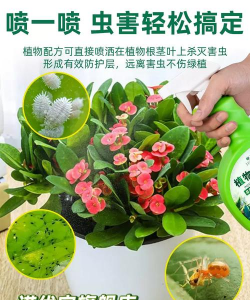 家里阳光不足怎么养花，选对植物种类，掌握养护技巧