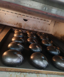 家里阳光不足怎么养花，选对植物种类，掌握养护技巧