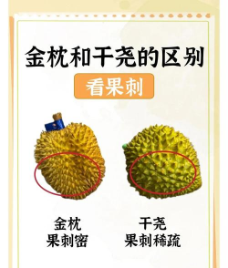 家里阳光不足怎么养花，选对植物种类，掌握养护技巧