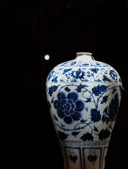 家里阳光不足怎么养花，选对植物种类，掌握养护技巧