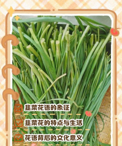 家里阳光不足怎么养花，选对植物种类，掌握养护技巧