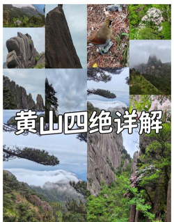 家里阳光不足怎么养花，选对植物种类，掌握养护技巧