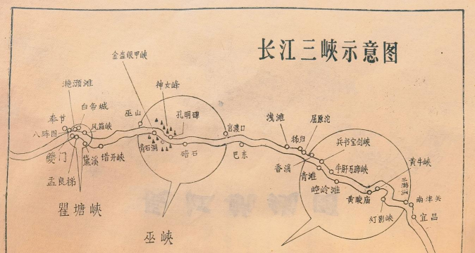 家里阳光不足怎么养花，选对植物种类，掌握养护技巧