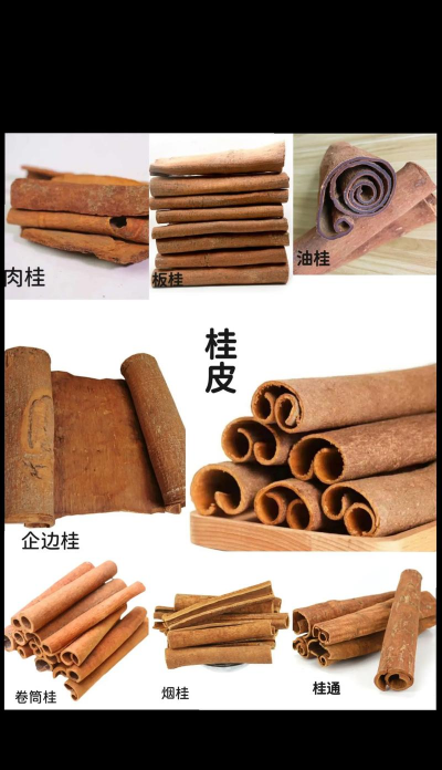 家里阳光不足怎么养花，选对植物种类，掌握养护技巧