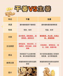 家里阳光不足怎么养花，选对植物种类，掌握养护技巧