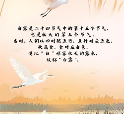 家里阳光不足怎么养花，选对植物种类，掌握养护技巧