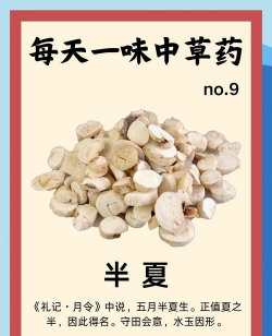 家里阳光不足怎么养花，选对植物种类，掌握养护技巧