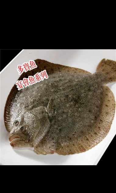 家里阳光不足怎么养花，选对植物种类，掌握养护技巧