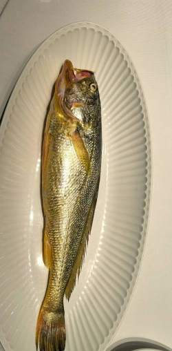 家里阳光不足怎么养花，选对植物种类，掌握养护技巧