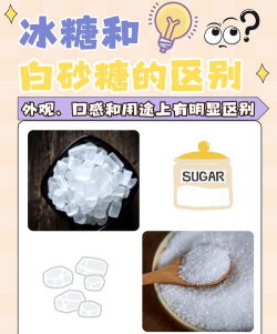 家里阳光不足怎么养花，选对植物种类，掌握养护技巧