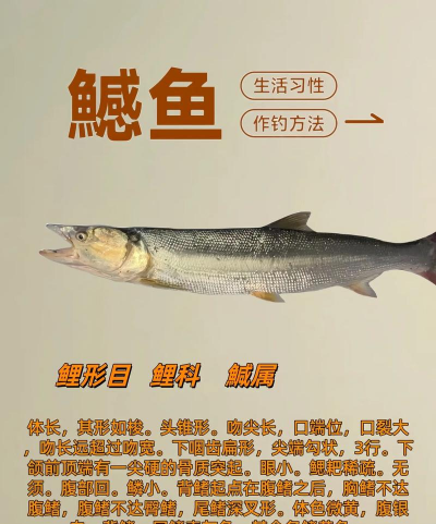 家里阳光不足怎么养花，选对植物种类，掌握养护技巧