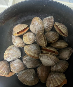 家里阳光不足怎么养花，选对植物种类，掌握养护技巧