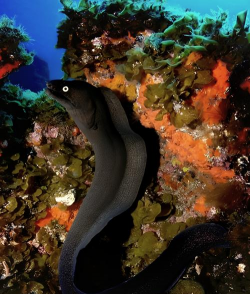 家里阳光不足怎么养花，选对植物种类，掌握养护技巧