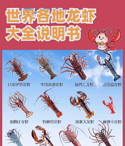 家里阳光不足怎么养花，选对植物种类，掌握养护技巧