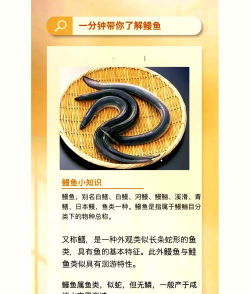 家里阳光不足怎么养花，选对植物种类，掌握养护技巧