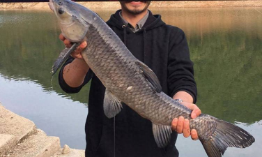 家里阳光不足怎么养花，选对植物种类，掌握养护技巧