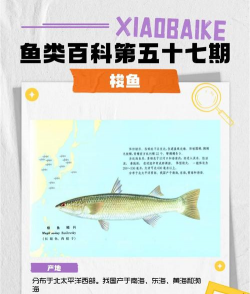 家里阳光不足怎么养花，选对植物种类，掌握养护技巧