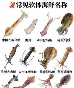 家里阳光不足怎么养花，选对植物种类，掌握养护技巧